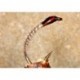 Tan Turkey Biot Buzzer
