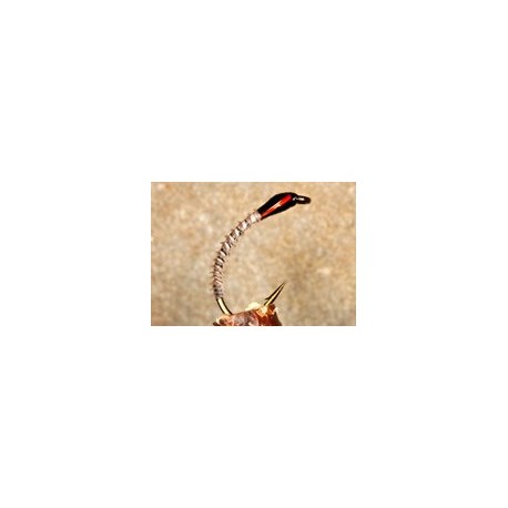 Tan Turkey Biot Buzzer