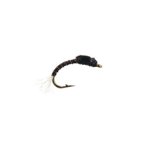 Toms Black Buzzer
