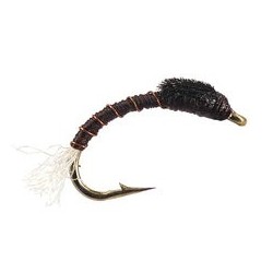 Toms Brown Buzzer