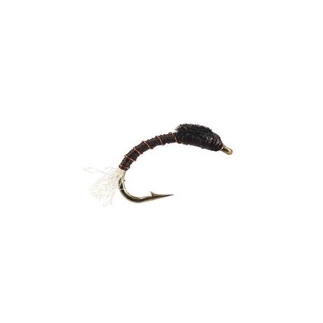 Toms Brown Buzzer
