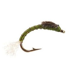 Toms Olive Buzzer