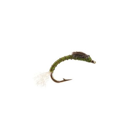 Toms Olive Buzzer