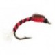 Toms Red Dark Uv Buzzer