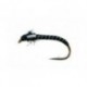 White Cheek Pupa