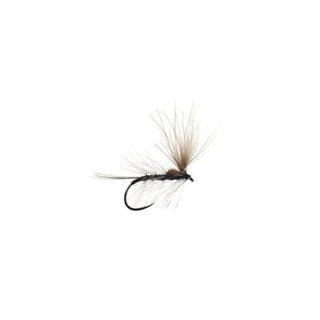 Ales Original Ak Black Bl
