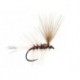 Ales Original Ak Rusty Brown Bl