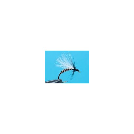 Black Deadly Ant