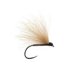 Black Fratnik Simply Good Bl