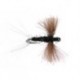 Black Spent CDC Wings Bl