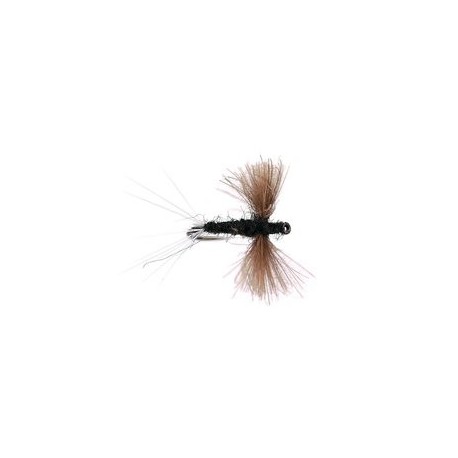 Black Spent CDC Wings Bl