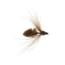 Brown CDC Bee