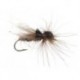 Brown CDC Hopper