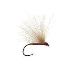 Brown Fratnik Simply Good Bl