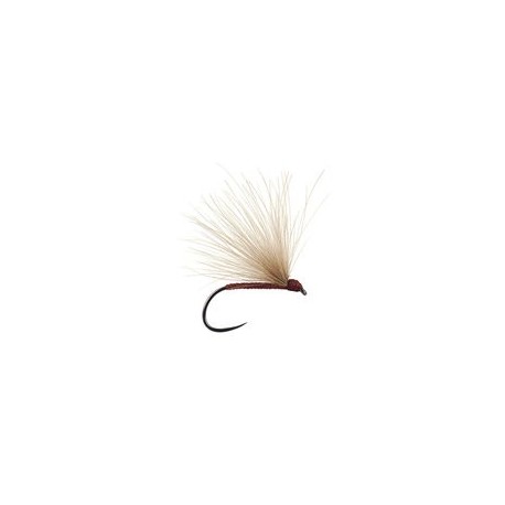 Brown Fratnik Simply Good Bl