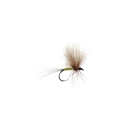 Bwo