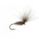 CDC Arpo Natural