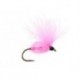 CDC Arpo Pink