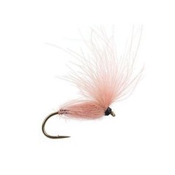 CDC Arpo Salmon