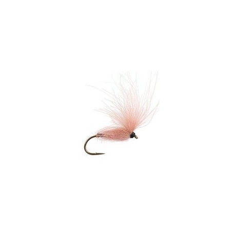 CDC Arpo Salmon