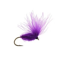 CDC Arpo Violet
