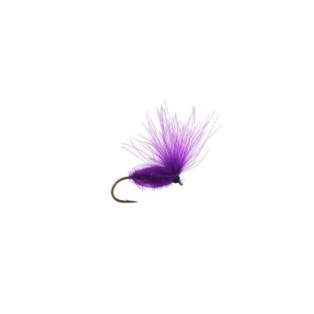 CDC Arpo Violet