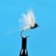 CDC Biot Compara Dun Trico Female