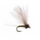 CDC Biot Comparadun Golden Olive
