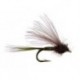 CDC Biot Comparadun Olive Dun