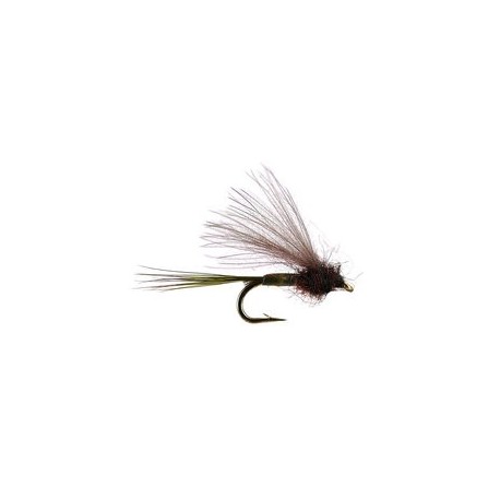 CDC Biot Comparadun Olive Dun