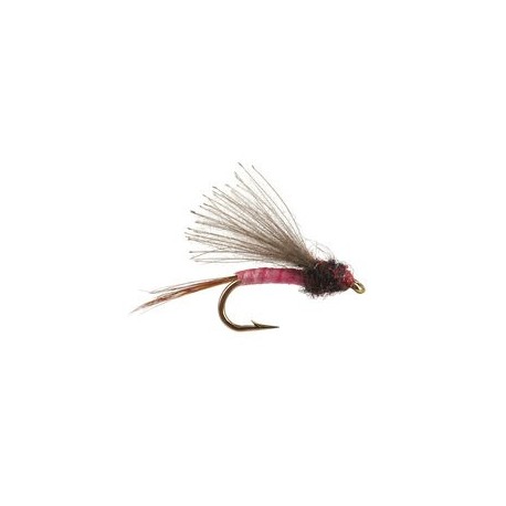 CDC Biot Comparadun Pink Dun