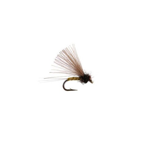 CDC Biot Comparadun Yellow Dun