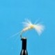 CDC Biot Spinner Light Cahill
