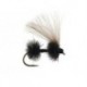 CDC Black Ant