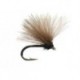 CDC Black Dream