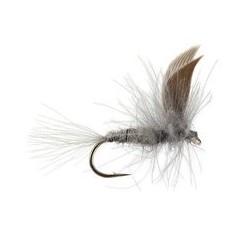 CDC Blue Dun Dry