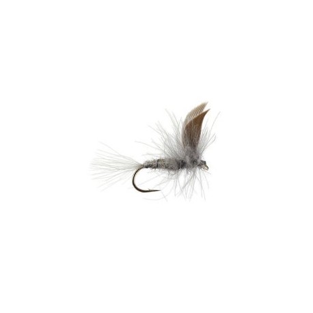 CDC Blue Dun Dry