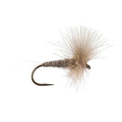 CDC Blue Dun
