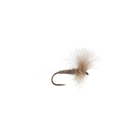 CDC Blue Dun