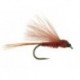 CDC Brown Bl