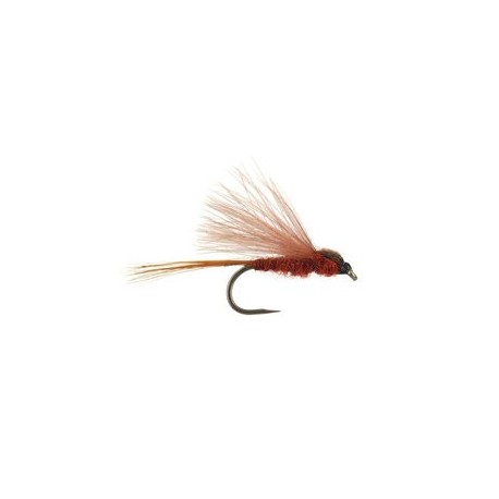 CDC Brown Bl