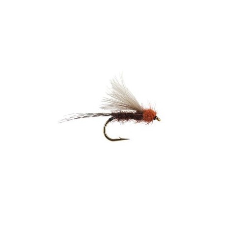CDC Brown Classic
