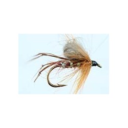 CDC Brown Hopper