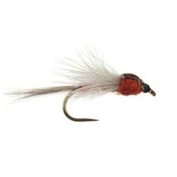 CDC Brown Spent Bl