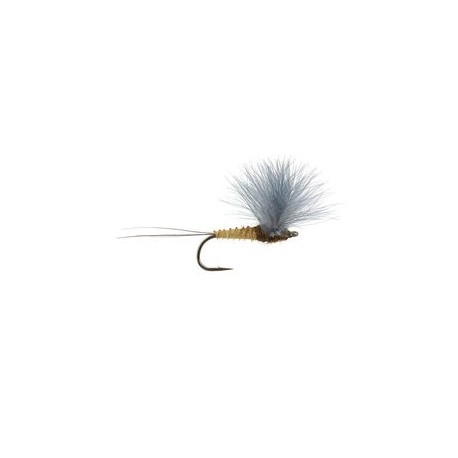 CDC Comparadun Green Drake