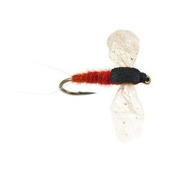 CDC Cripple Brown Reddish
