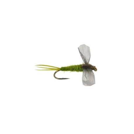CDC Cripple Medium Olive