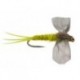 CDC Cripple Pale Olive
