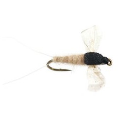 CDC Cripple Tan