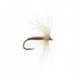 CDC Croupion De Canard